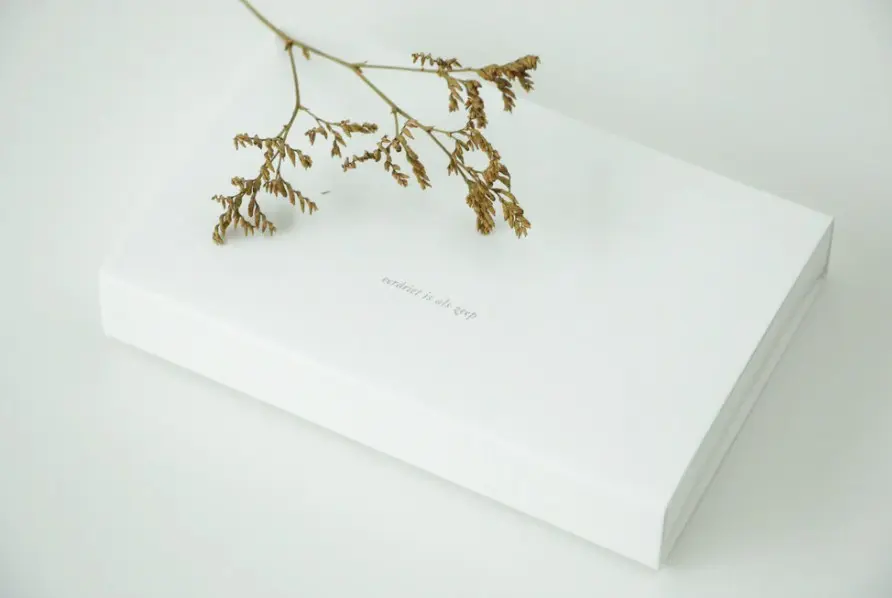 Schermafbeelding 2025-12-03 112659.webp