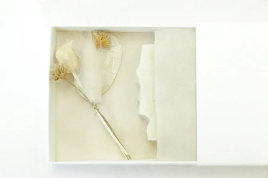 Schermafbeelding 2025-12-03 112636.webp