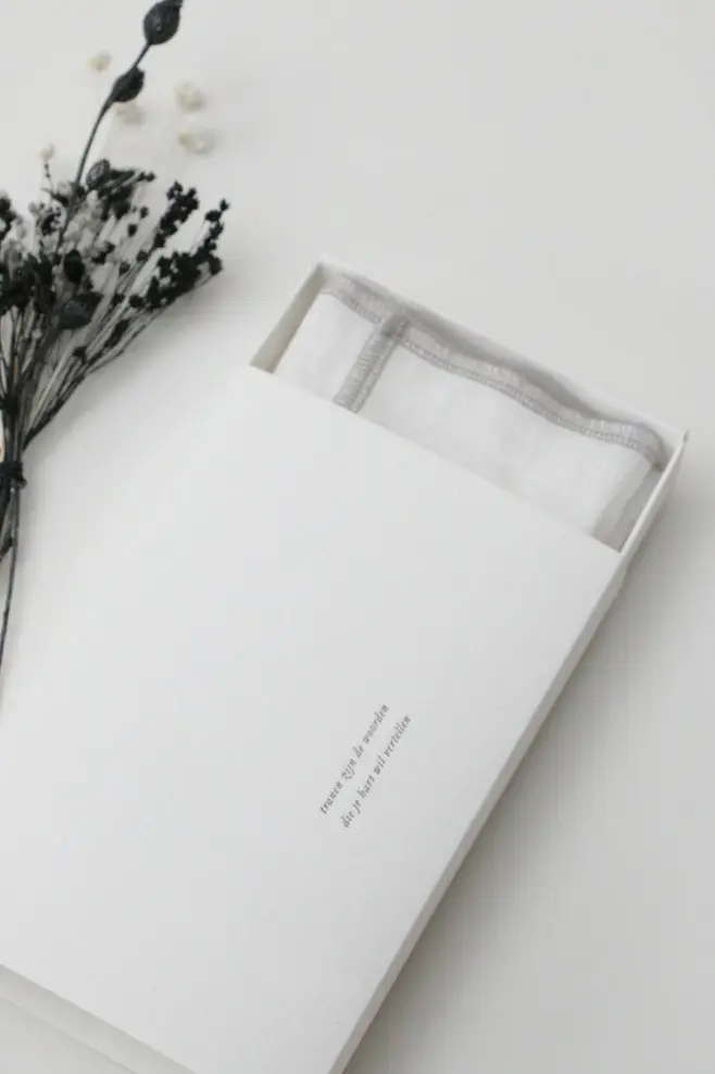 Schermafbeelding 2025-12-04 122747.webp